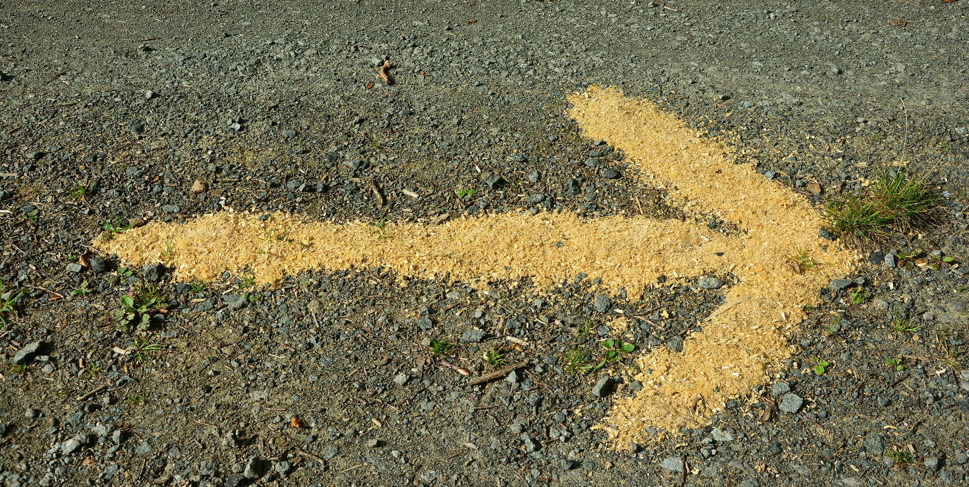 The path God leads you to